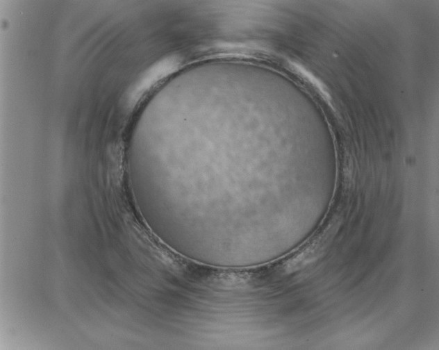 X0000087741411200705211001