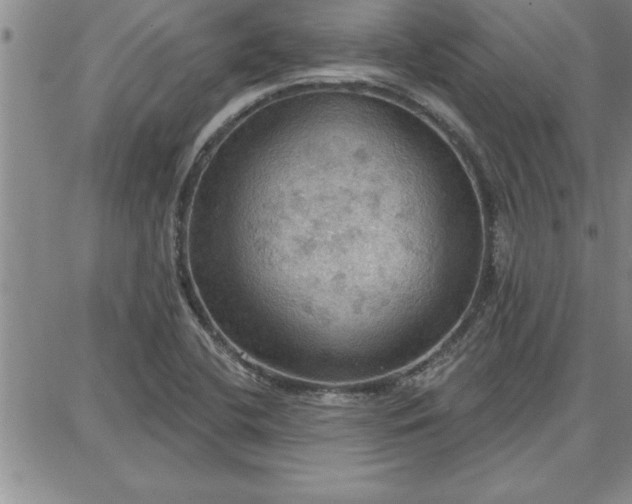 X0000087741412200705211001