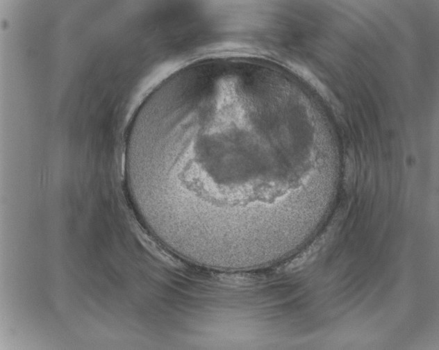 X0000087741413200705211001