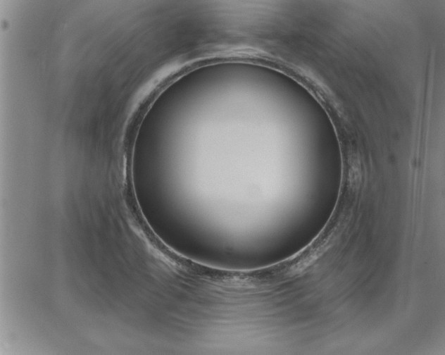 X0000087741414200705211001