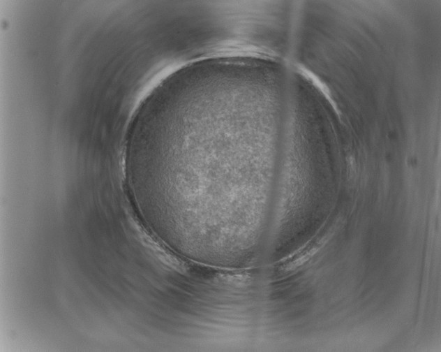 X0000087741415200705211001