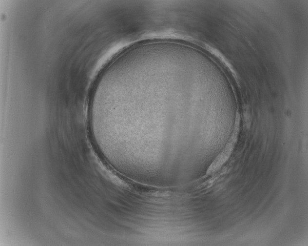 X0000087741416200705211001