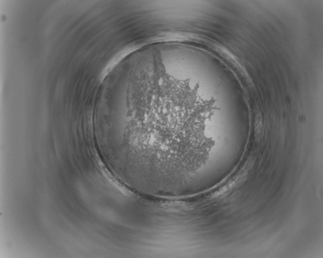 X0000087741417200705211001