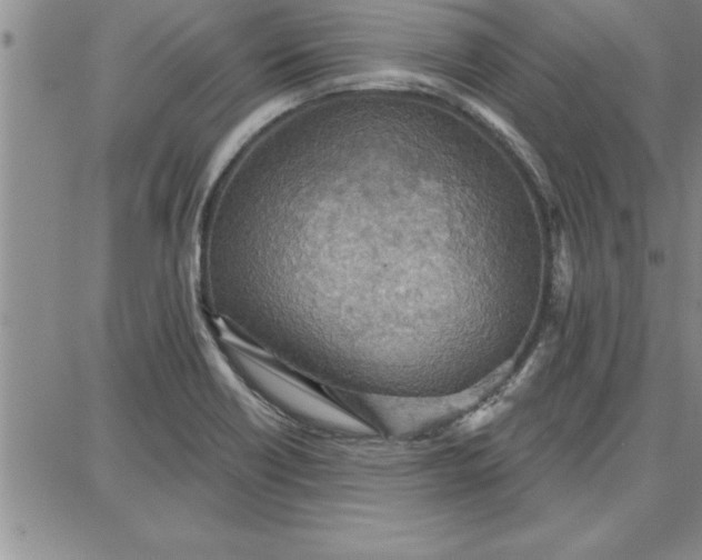 X0000087741418200705211001