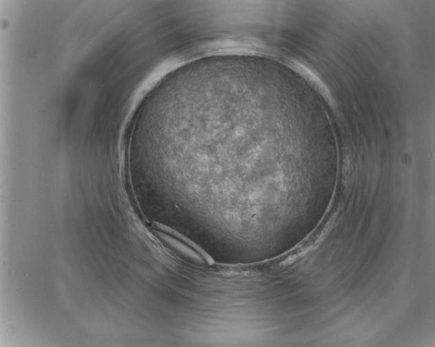 X0000087741419200705211001