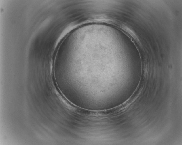 X0000087741420200705211001