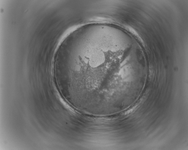 X0000087741421200705211001