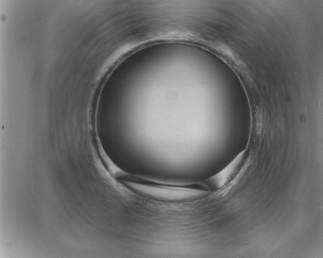 X0000087741422200705211001