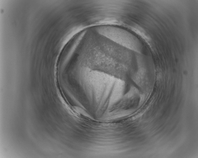 X0000087741423200705211001