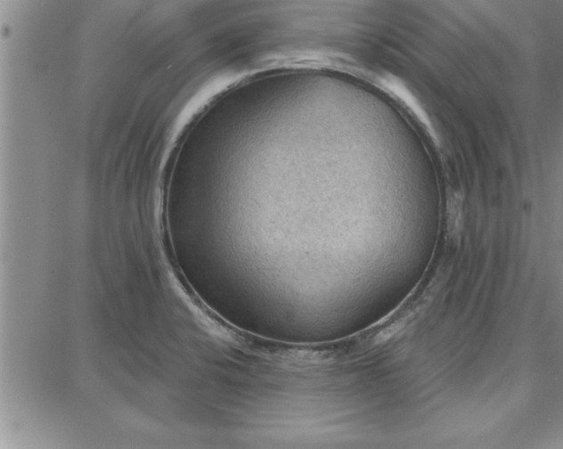 X0000087741424200705211001