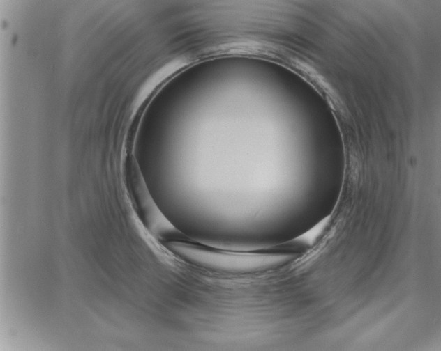 X0000087741426200705211001