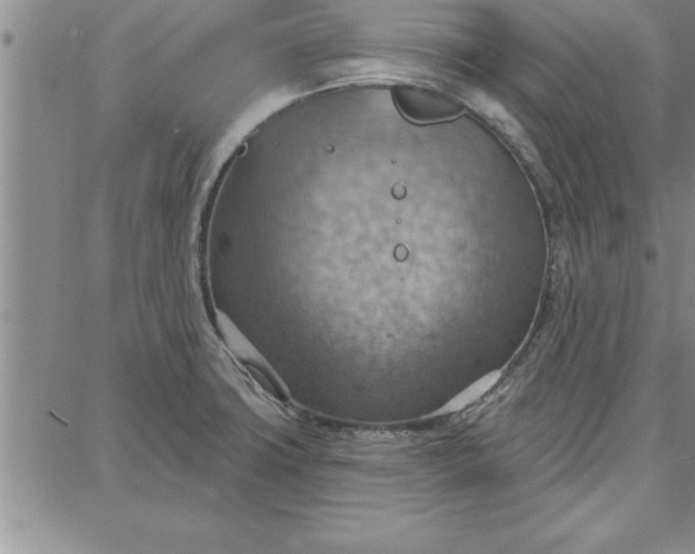 X0000087741427200705211001