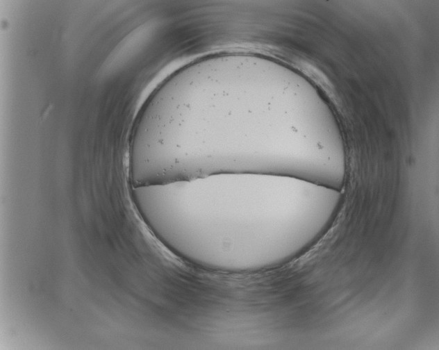 X0000087741428200705211001