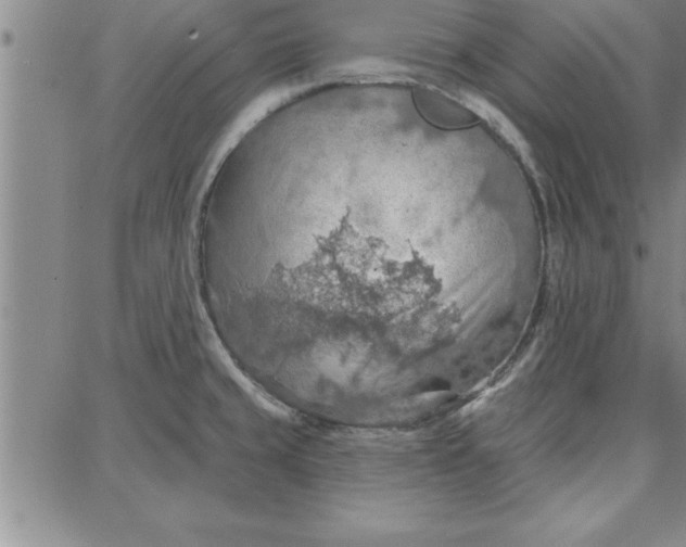 X0000087741429200705211001