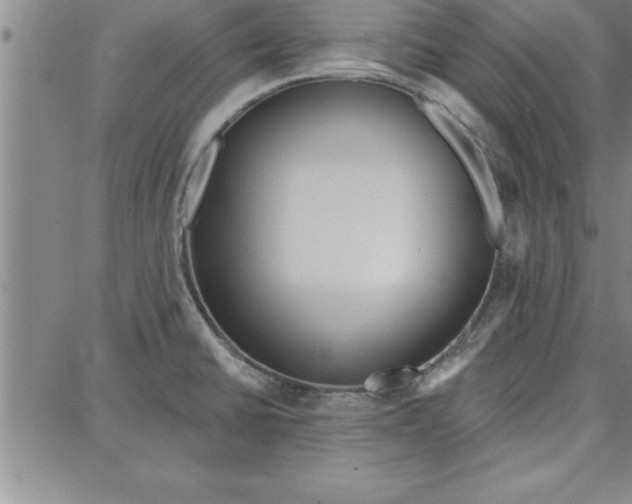 X0000087741430200705211001