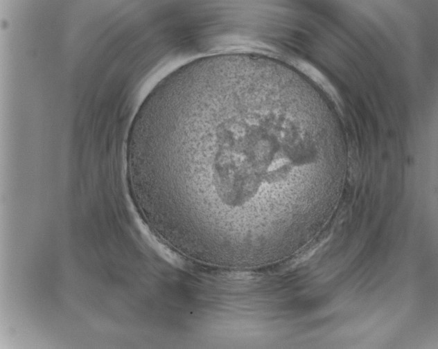 X0000087741431200705211001