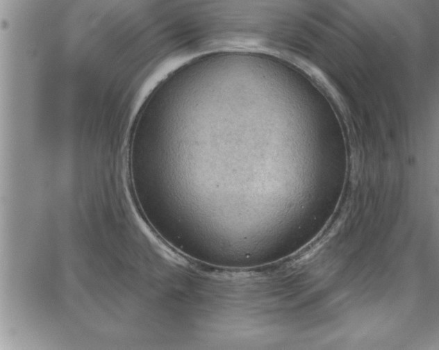 X0000087741432200705211001