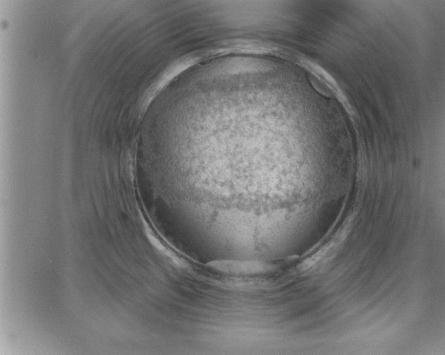 X0000087741433200705211001