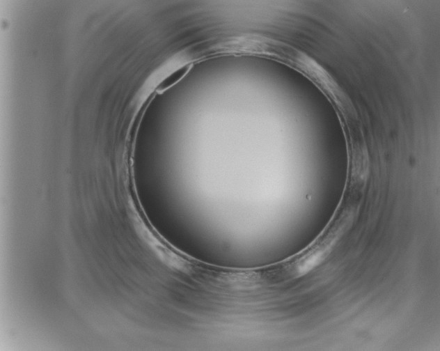 X0000087741434200705211001