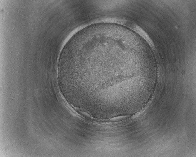 X0000087741436200705211001