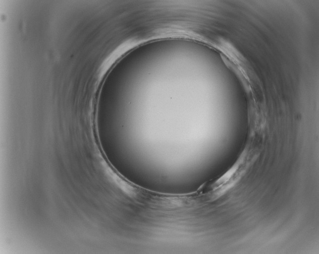 X0000087741438200705211001