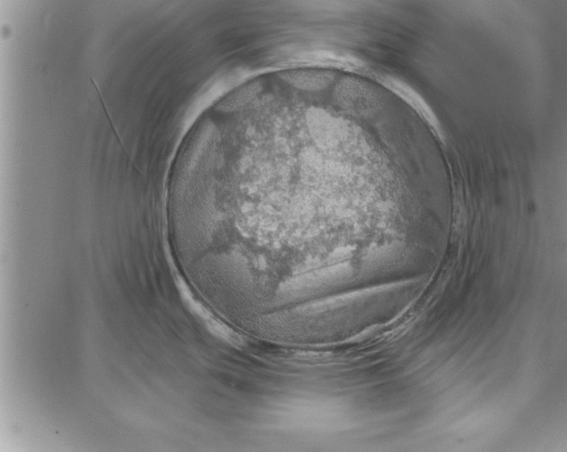 X0000087741439200705211001