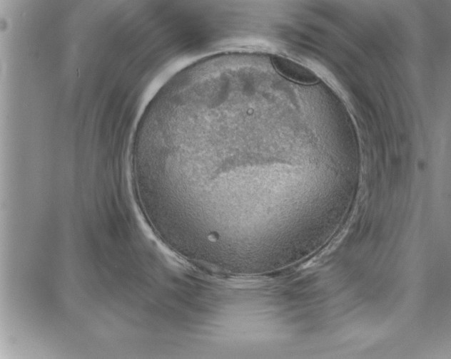 X0000087741440200705211001