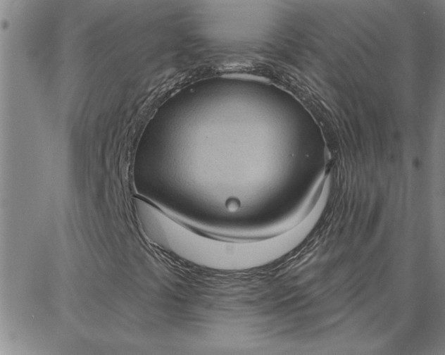 X0000087741441200705211000