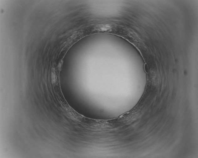 X0000087741442200705211000