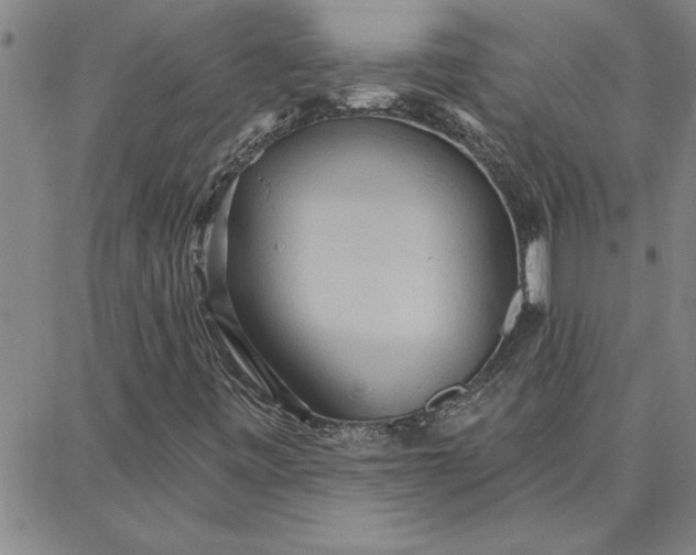 X0000087741443200705211000