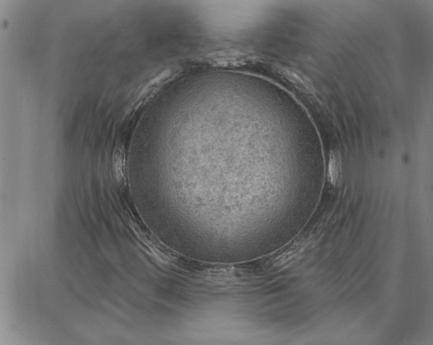 X0000087741444200705211000