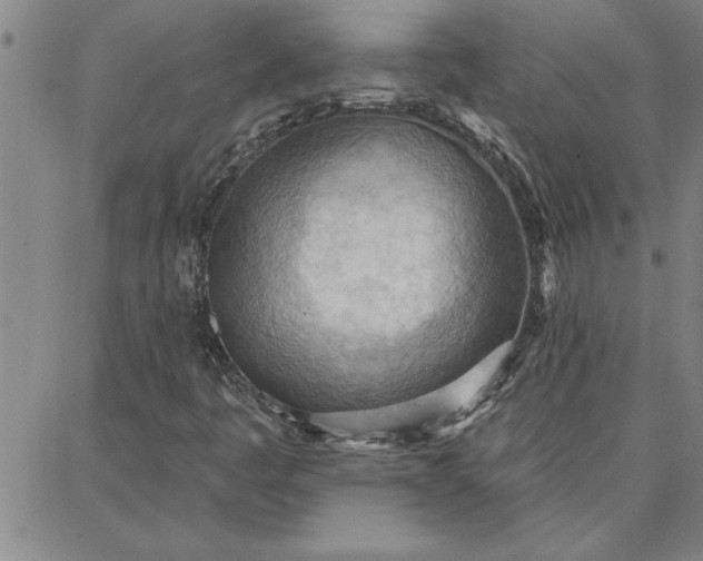 X0000087741445200705211000