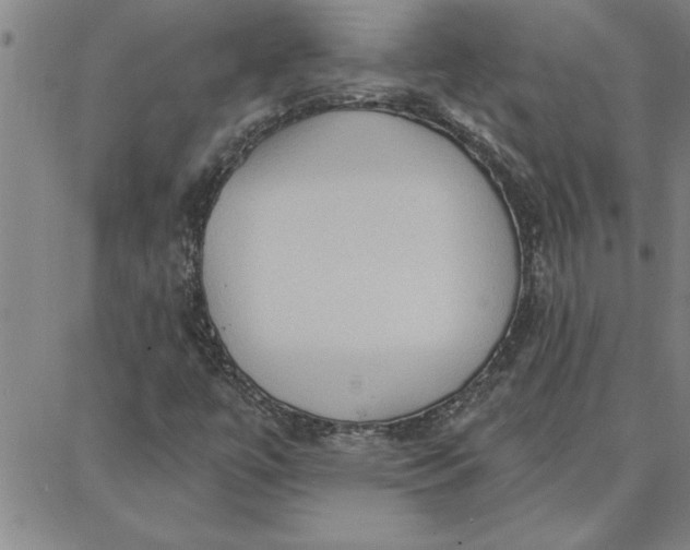 X0000087741447200705211000