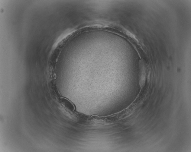 X0000087741448200705211000