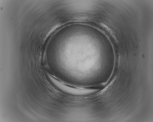 X0000087741449200705211000