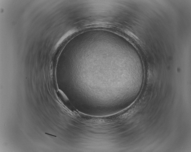 X0000087741450200705211000