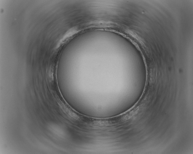 X0000087741451200705211000