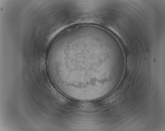 X0000087741452200705211000