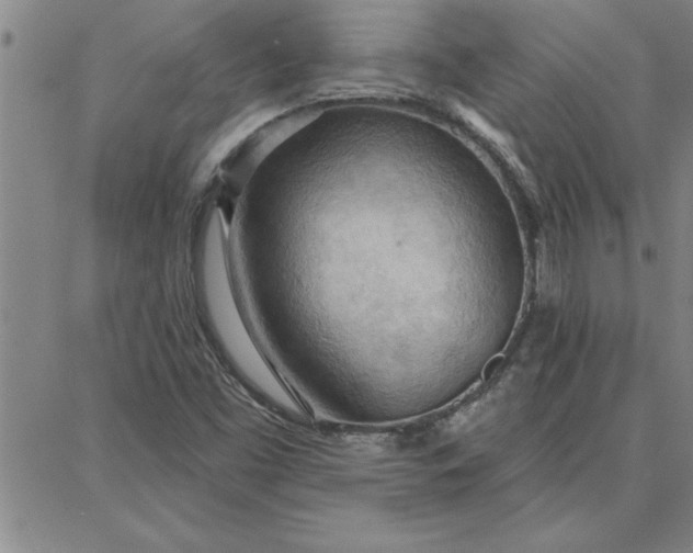 X0000087741453200705211000