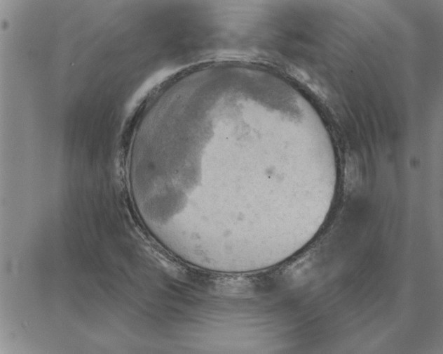 X0000087741454200705211000