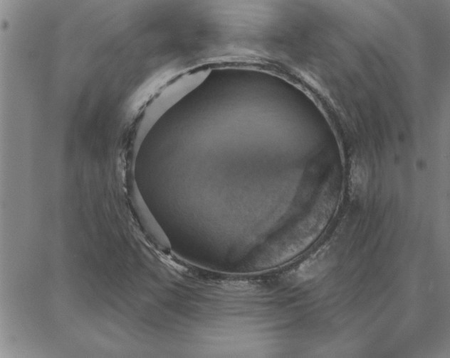 X0000087741455200705211000