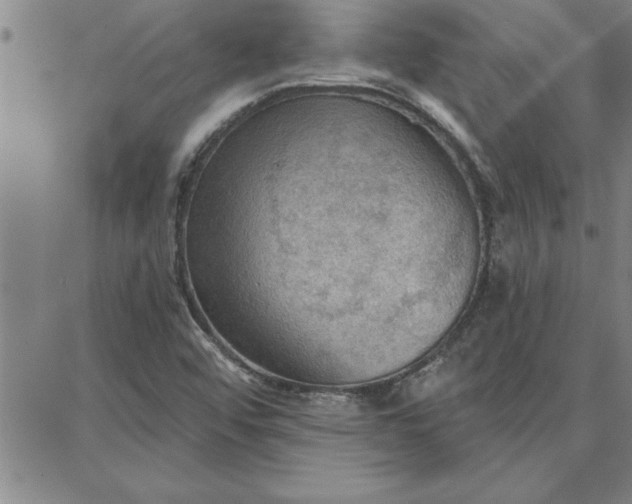 X0000087741456200705211000