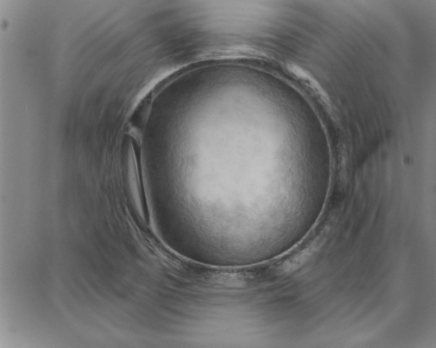 X0000087741457200705211000