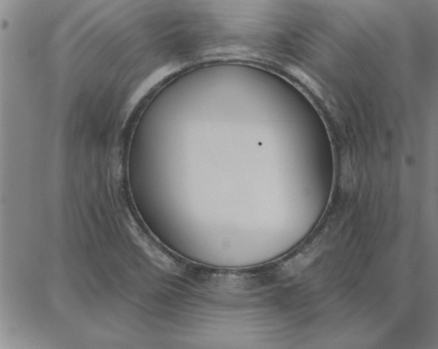 X0000087741458200705211000