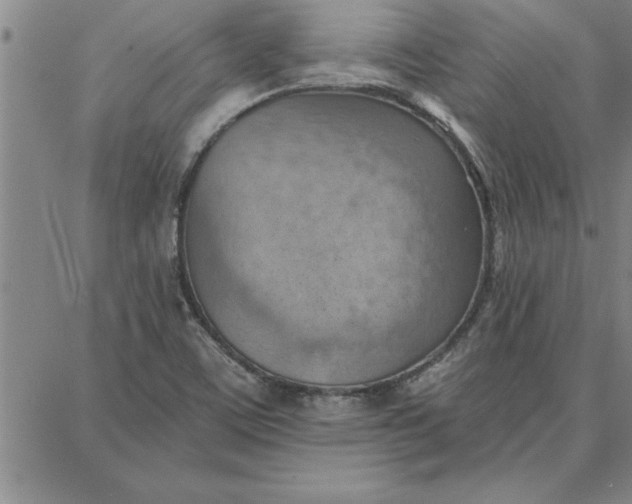 X0000087741459200705211000