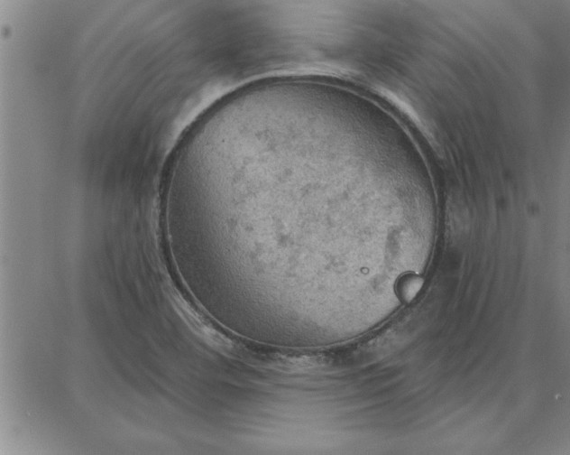 X0000087741460200705211000