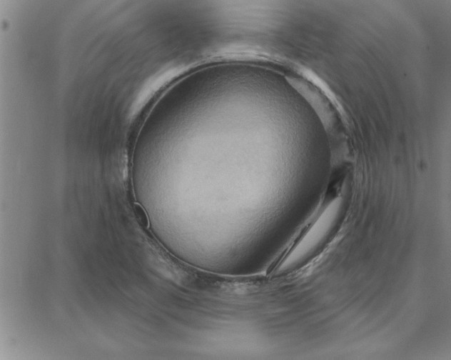 X0000087741461200705211000