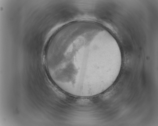 X0000087741462200705211000