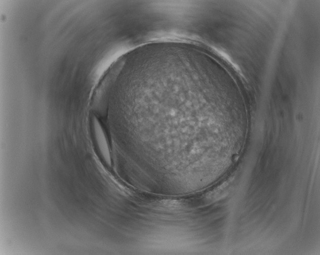 X0000087741463200705211000