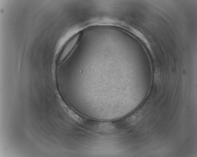 X0000087741464200705211000